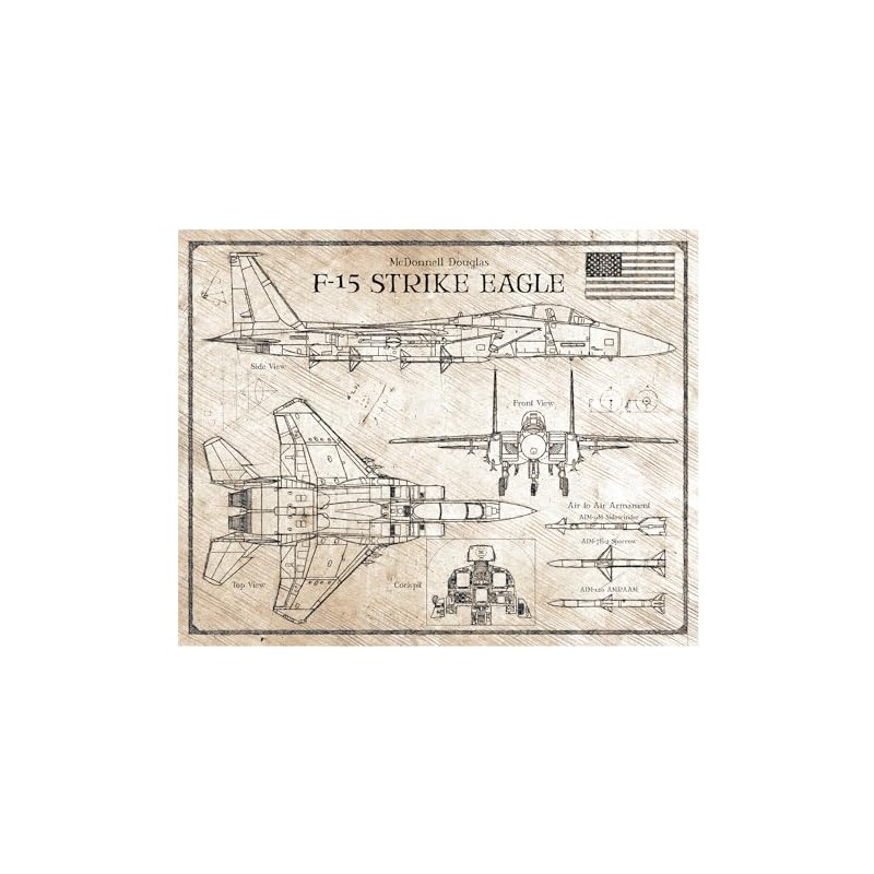 F-15 Strike Eagle - DaVinci or Blueprint Style Illustration -
