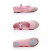 Ballet Shoes Front Leather Practice Dance Hula Electric Tone Children