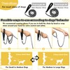 Chain Dog Leash Chew Proof, Metal Chain and Nylon Rope