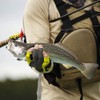 ANCLLO 100Pcs Fly Fishing Kit - Dry and Wet Flies