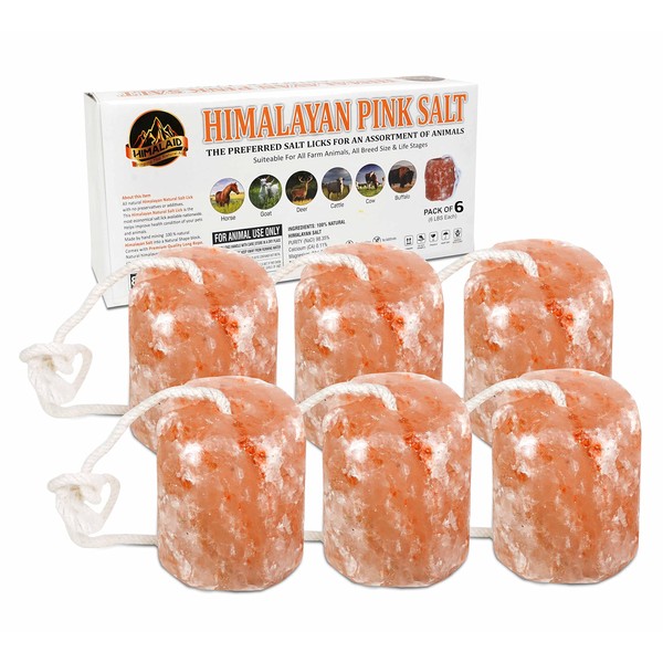 Himalaid Himalayan Salt Lick on Rope for Horses, Cattles, and Other Livestock, 6 LBS Each (6 Pack)