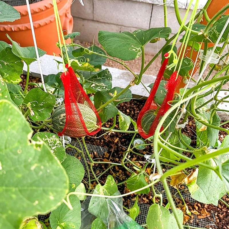 100Pcs Watermelon Nets,Melon Hammock Hanging Cantaloupes Support Net,Reusable Mesh Bags