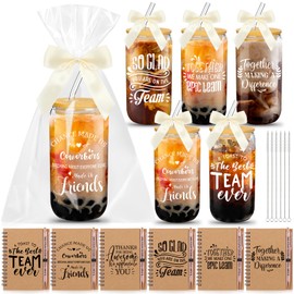 Skylety 18 Pcs Employee Appreciation Gift Set for Women Thank You Graduation Gifts for Teacher Students Team Coworker 16 oz Glass Cup A6 Inspirational Notebook with Ballpoint Pen Bow knot(Team)