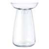 KINTO 20843 Aqua Culture Base, 4.7 inches (120 mm), Clear,