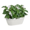 elho Vibia Campana Wall Basket 35 - Planter for Balcony