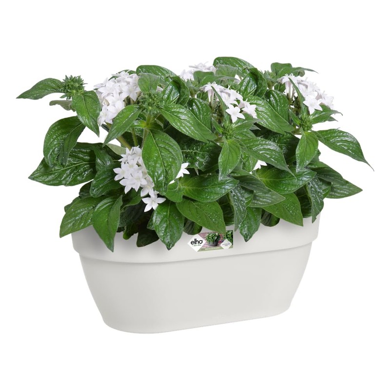 elho Vibia Campana Wall Basket 35 - Planter for Balcony