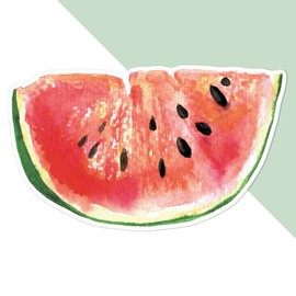 Large 210mm 'Watermelon' Permanent Sticker Decal for Cars/Windows/Bins/Walls etc (DW00088630)