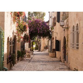 BELECO 5x3ft Fabric Jerusalem Town Street Backdrop Cobbled Street Ancient Village Old Stone Wall Houses Spring Flowers Historic City Israel Background for Party Decorations Photo Booth Studio Props