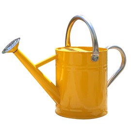 yourjoy Metal Watering Can, One Gallon Watering Cans Stainless Steel for Outdoor Indoor Garden Plants Watering (Yellow)