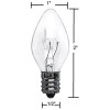 Creative Hobbies (25 Pack) Night Light Bulbs, C7, Clear, Steady,