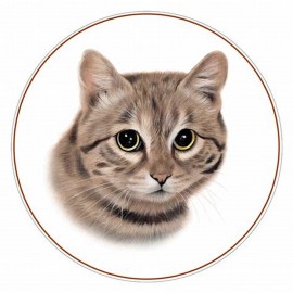 Fashion Jewelry calico cat face kitten Pendant 925 Sterling Silver 22" Necklace Gold Award Art