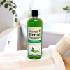 Secreto Herbal Shampoo Familiar Sábila Orgánica 1l
