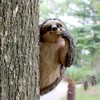CHEOTIME Sloth Tree Hugger, Outdoor Tree Decorations Statue Hanging Outdoor