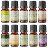 MEVA kit de 10 aceites aromaterapia difusor de aromas humificador