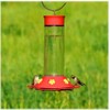Perky Pet 209B Glass Hummingbird Feeder, 30 Oz, Red (Older