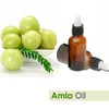 Salvia Amla (Emblica Officinalis) Essential Oil 100% Pure & Natural