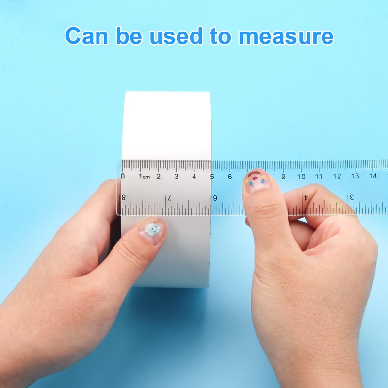 Pletpet 2 Pack - 8 inch Clear Plastic Ruler Straight