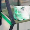 Cat Bed Window Removable Washable Cat Window Perch Swing Hammock