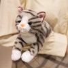PEACH CAT Striped Cat Stuffed Animal 9.8" Realistic Kitten Plushies