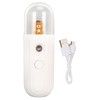Nano Mist Sprayer Handheld 250mAh USB Rechargeable Nano Mister Facial