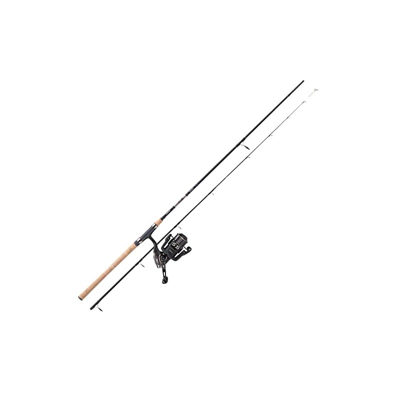 Balzer Combo MK Eel Picker Eel Combo 2.75 m 40-120