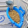Bird Bath Tray | Bird Bathtub for Parakeets,Bird Bath Dish,