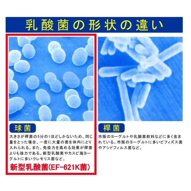 New Lactic Acid Bacteria "New Diamond" (EF-621K) / 3 Boxes