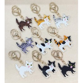 Miwaki Sya-ac Cat Acrylic Key Holder, Nascan Keyring, Simple, Cat Motif, Hand Painted, Made in Japan, Gold, bigeye thresher