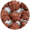 Chocolate Covered Maple Nut Clusters - 3 lb Bag
