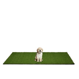 Garland Rug Puppy Pee Pad Artificial Grass Turf Rug, 4-Feet by 6-Feet, Green
