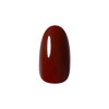PRE GEL Color EX Urlubordeaux 0.1 oz (3 g) PG-CE988