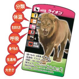 Kumon Publishing Thinking Creatures Classification Card Game, Educational Toy, For Ages 5 and Up, KUMON