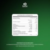 Suplementos Domos - 80 Billones Probióticos - Inulina De Agave