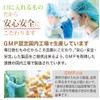 Dainichi Healthy Foods Blueberry Lutein 120 Tablets (Tablet Type) x