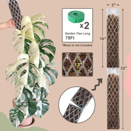 Sisher 6Pcs Plastic Moss Pole D Shape Moss Pole 16 Inch Moss Sticks for Indoor Plants Climbing Monstera Plant Support Work with Sphagnum Moss