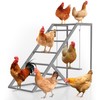 Chicken Perch for Coop with Chicken Swing and Chicken Ladder