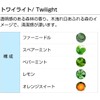 Twilight 30ml Aroma Blend Incent Essential Oil 30ml