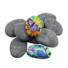 Boncun River Rocks for Painting Rock Painting Supplies Rocks to Paint River Rock Paint Flat Stones for Crafts River Stones for Painting Smooth Flat Rocks (10PCS, 2.8""-4"")