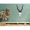 Top Brass 14 1/2" African Kudu Antelope Skull - Wall