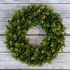 12-Inch Boxwood Wreath - Round UV Resistant Artificial Spring, Summer,