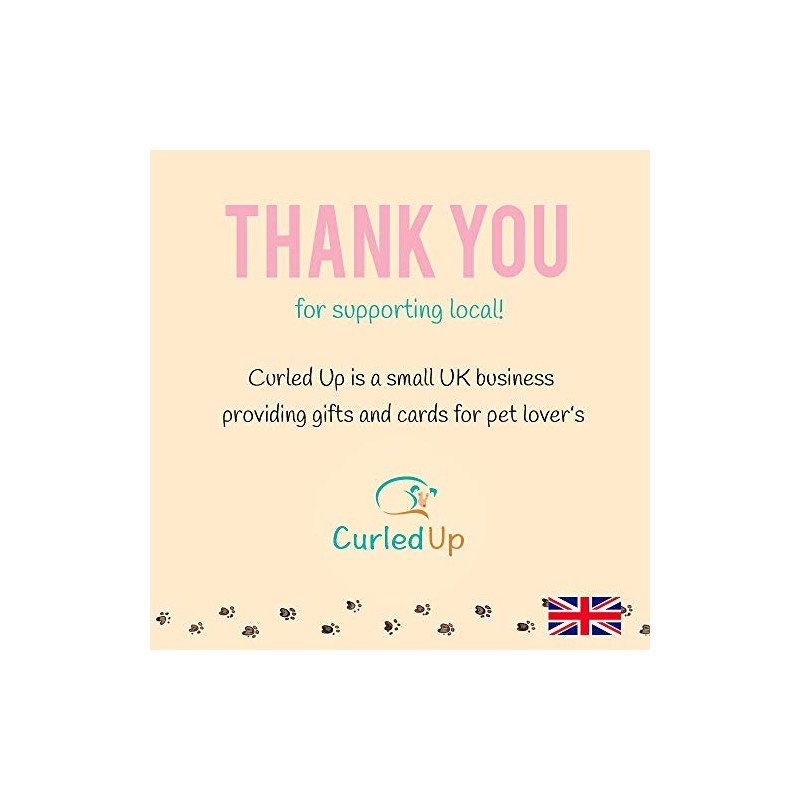 Curled Up Border Terrier Birthday Card - Party Hat