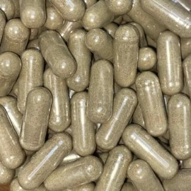 B17 Herbs Nootropic Blend - Bacopa, Lions Mane, Rosemary, Oat Straw, Ginseng 100 Veg. Caps