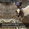 Hay Net for Horses Square in White Hay Net 3