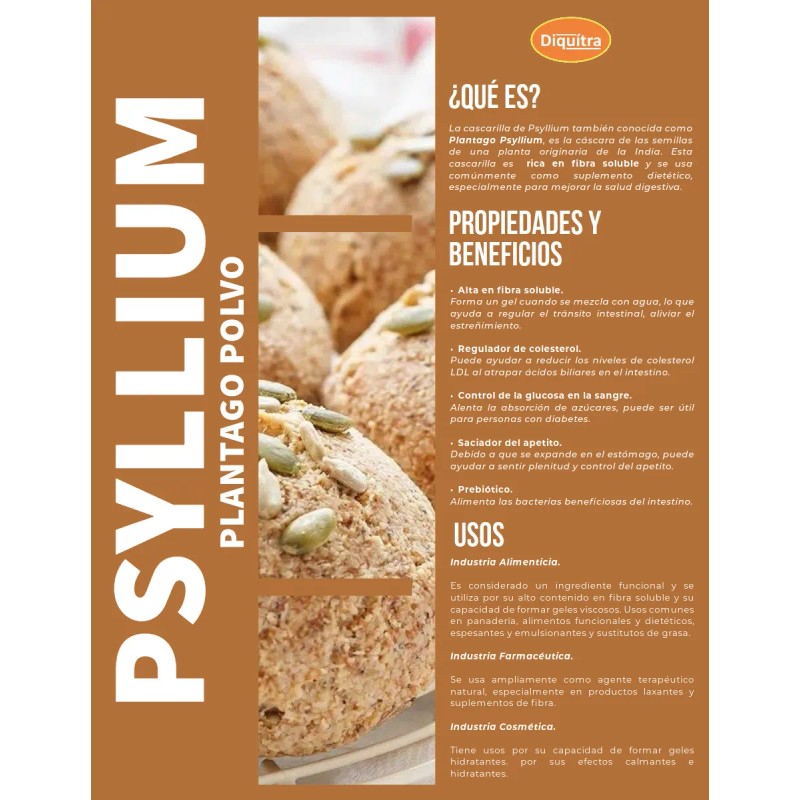 Psyllium Husk Plantago Polvo Calidad Premium 500 Gr