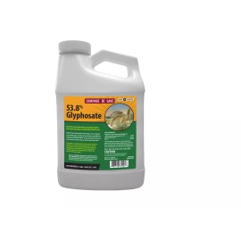 Compare-N-Save 64 oz. 53.8% Weed Killer