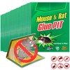 Qualirey 30 Pcs Large Sticky Traps for Mice and Rats