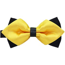 Flairs New York Gentleman's Diamond Pointed Pre-Tied Bow Tie (Tuscan Sun Yellow/Black)