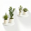 MIHORLIFE 19.3X15cm Wooden Round Floating Shelves, Compact Style Mini Wall