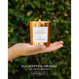 Benevolence LA Eucalyptus Orange Wood Wick Candles | Soy Christmas Scented Candles for Home | Holiday Candle Gifts for Women and Men | Home Fragrance | Aromatherapy | Shelf Decor | 8oz, 45 Hour Burn