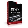 EZ Keys Electric Grand